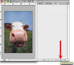 Beschneidungspfad für RagTime in Photoshop anlegen